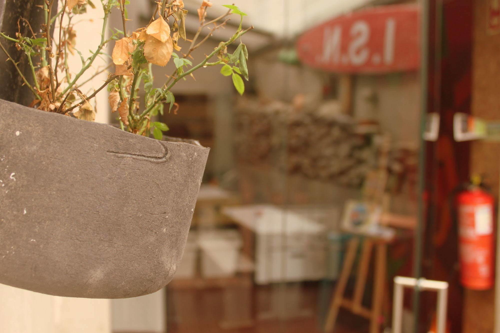 Eco Hostel - Tribo Da Praia Ferrel  Εξωτερικό φωτογραφία